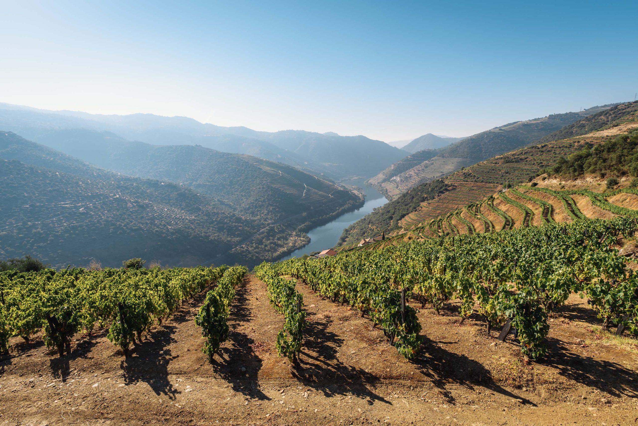 douro valley boat tours